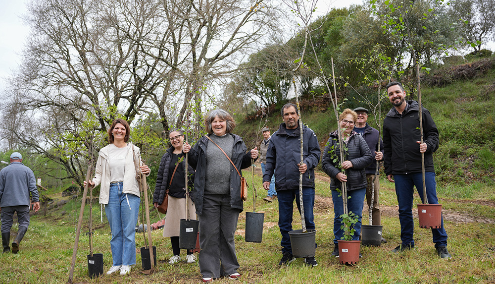 Plantação de árvores no Dia Mundial da Árvore