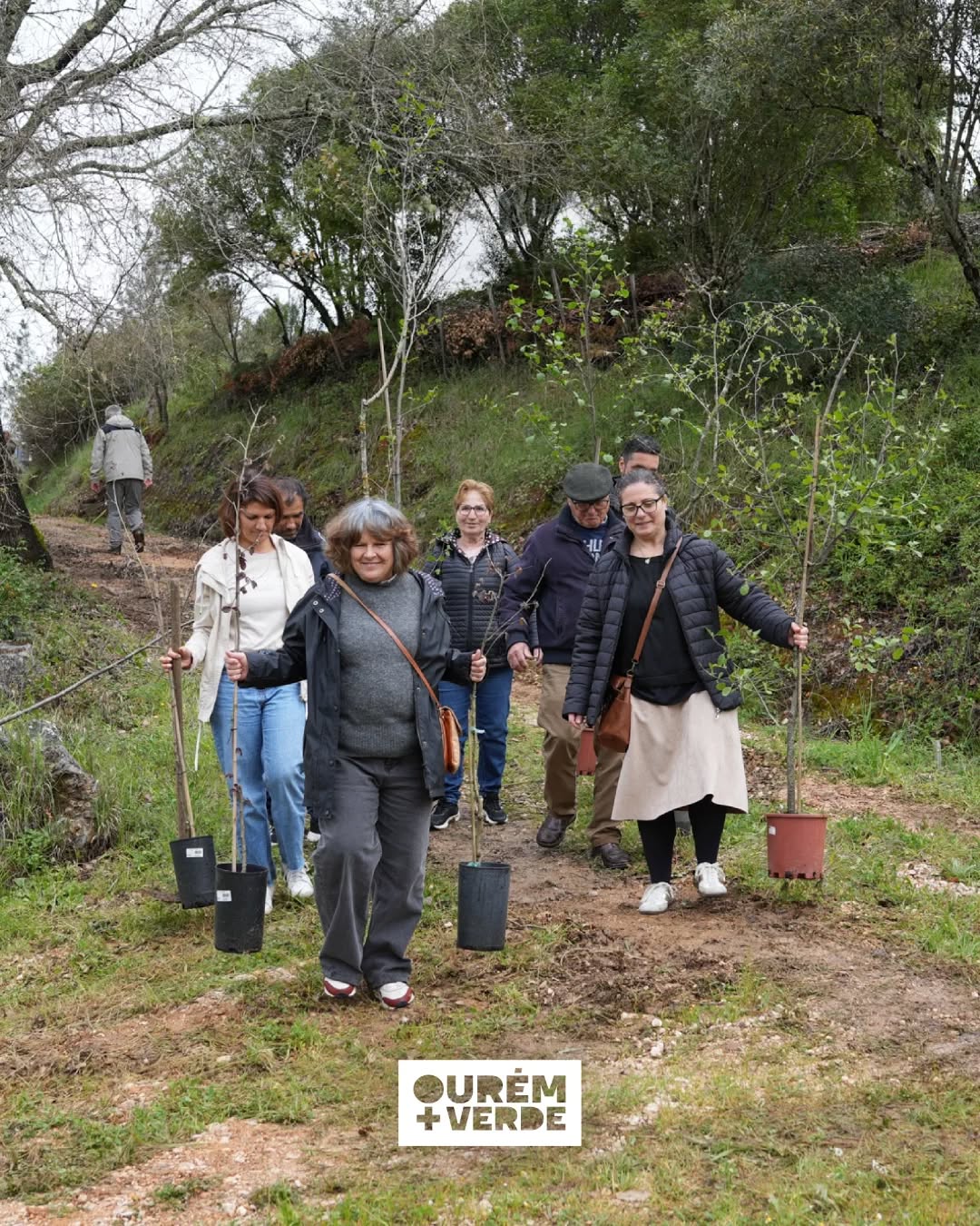 Floresta autóctone em recuperação no concelho de Ourém