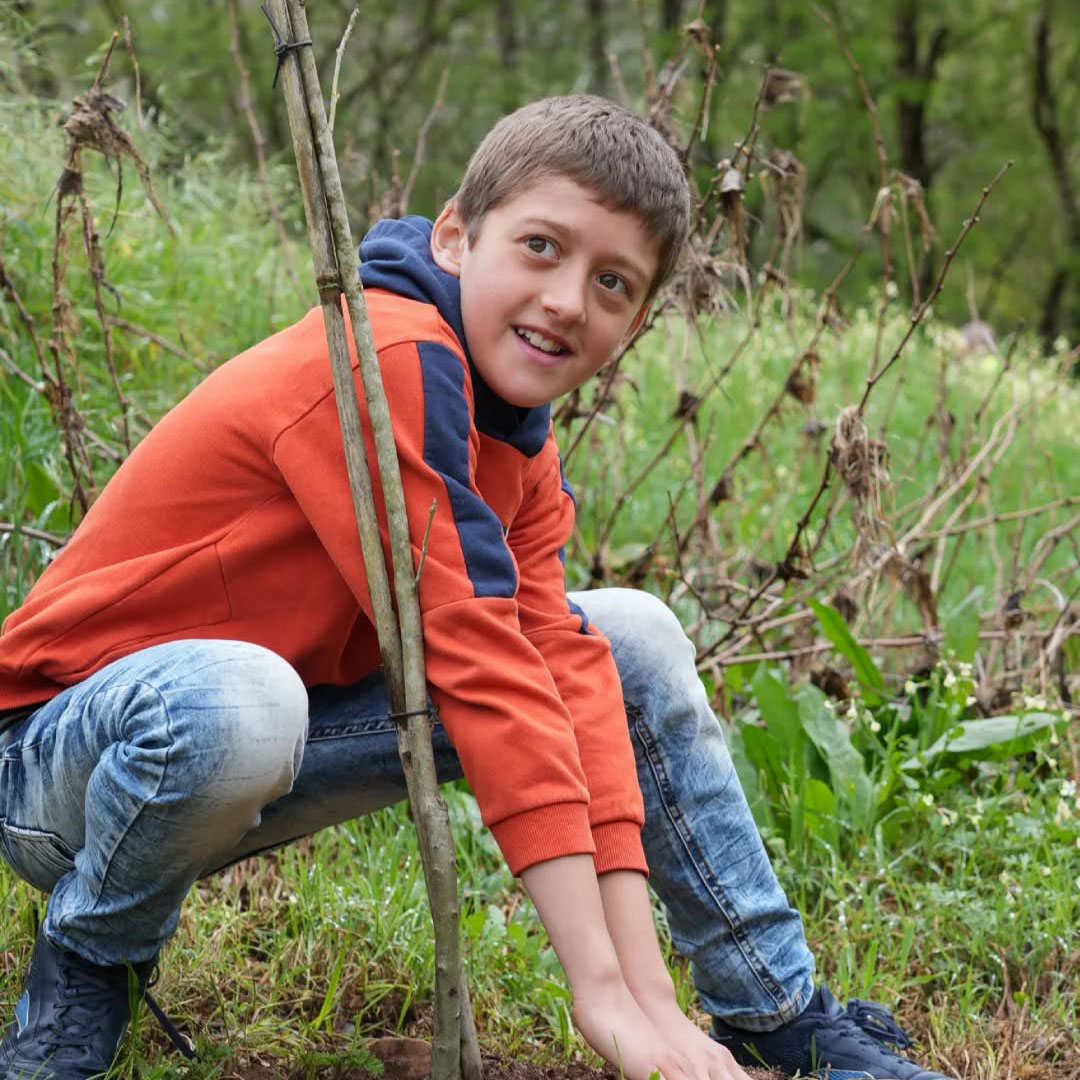 Plantação de uma árvore jovem